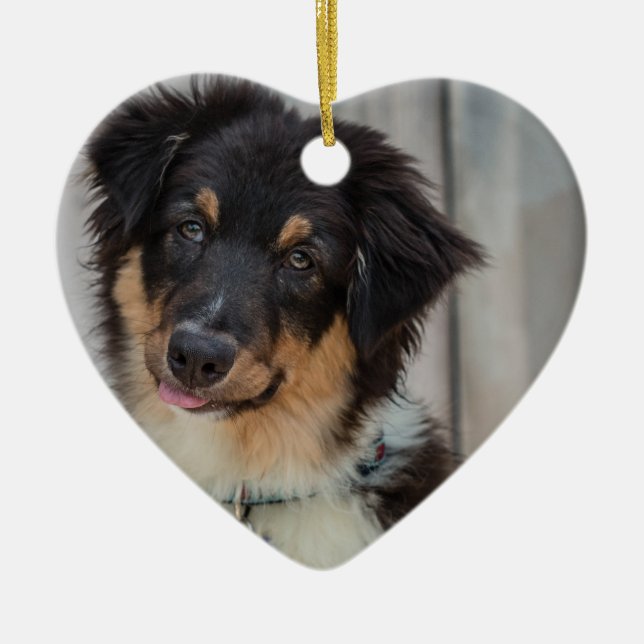 Ornement Cœur En Céramique Chien berger australien (Devant)