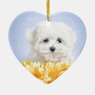 Ornement Cœur En Céramique Chien maltais