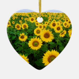 Ornement Cœur En Céramique Ciel bleu de gisement jaune de tournesol