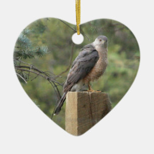 Ornement Cœur En Céramique Cooper's Hawk