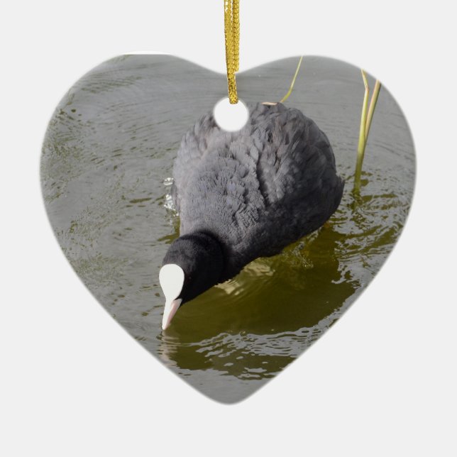 Ornement Cœur En Céramique Headed Coot (Devant)