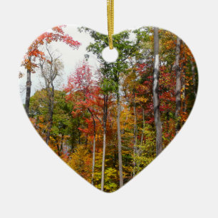 Ornement Cœur En Céramique L'automne dans la forêt Photographie d'automne col