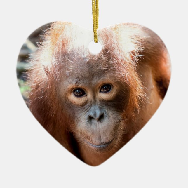 Ornement Cœur En Céramique Orphelin Kobe d'orang-outan de bébé (Devant)
