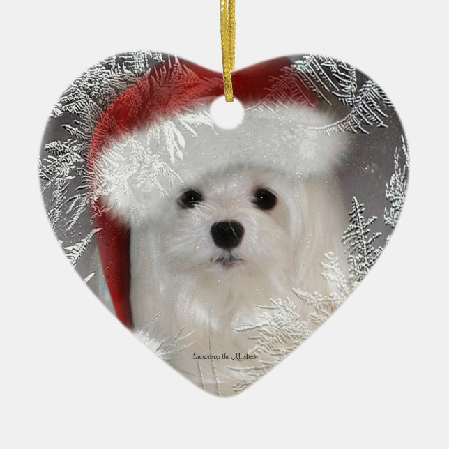 Ornement Cœur En Céramique Perce-neige l'ornement maltais de Noël (Devant)