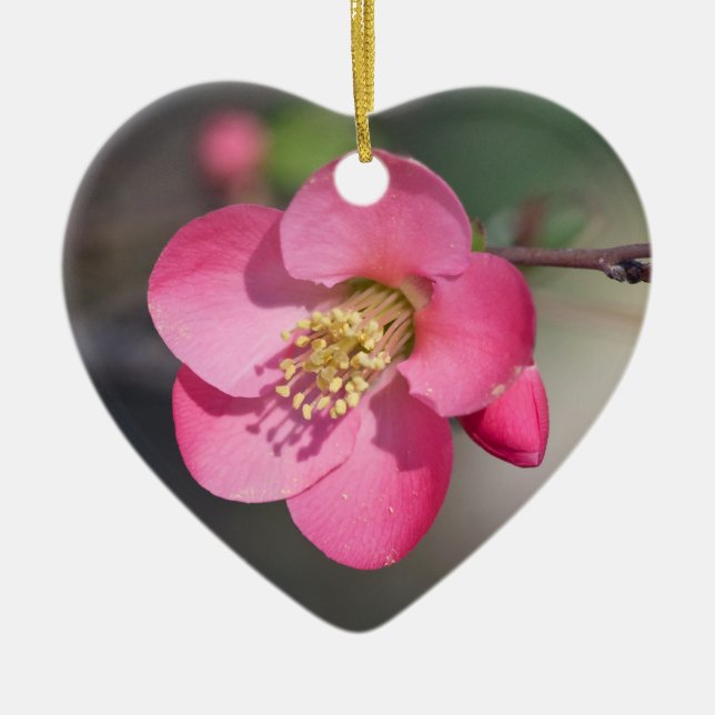 Ornement Cœur En Céramique Quince à fleurs roses parfaite (Devant)