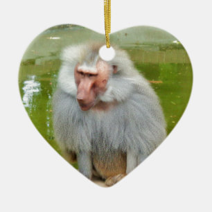 Ornement Cœur En Céramique Singe gris, Ape Macaque, Nature, Animaux