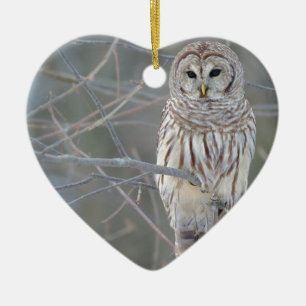 Ornement Cœur En Céramique Strix Varia de hibou barré