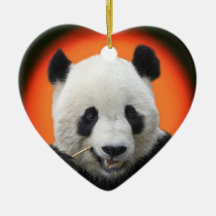 TAI SHAN