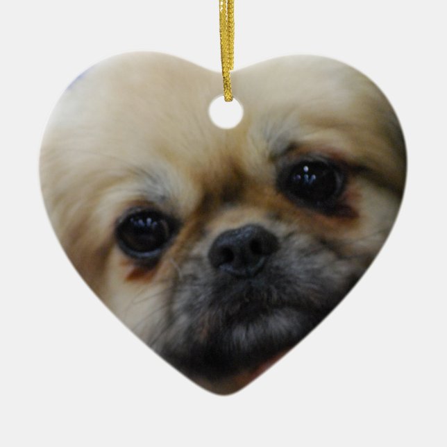 Ornement Cœur En Céramique tibetan-spaniel-5.jpg (Devant)
