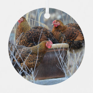 Ornement Cute Chicken Ornament