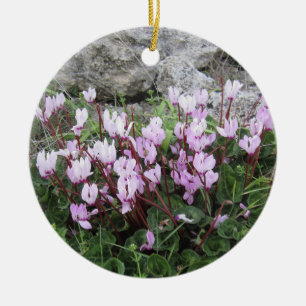 Ornement Cyclamen Sauvage