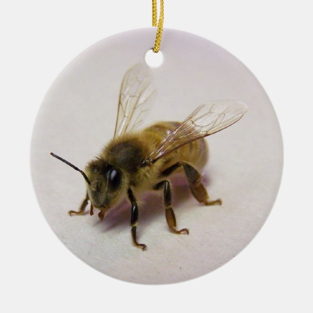 Ornement d'abeilles de miel (Devant)
