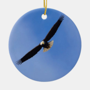 Ornement d'aigle chauve