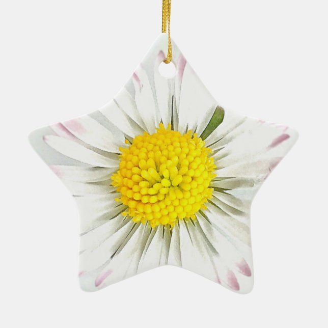 Ornement Daisy Flower Dble Side Star (Dos)