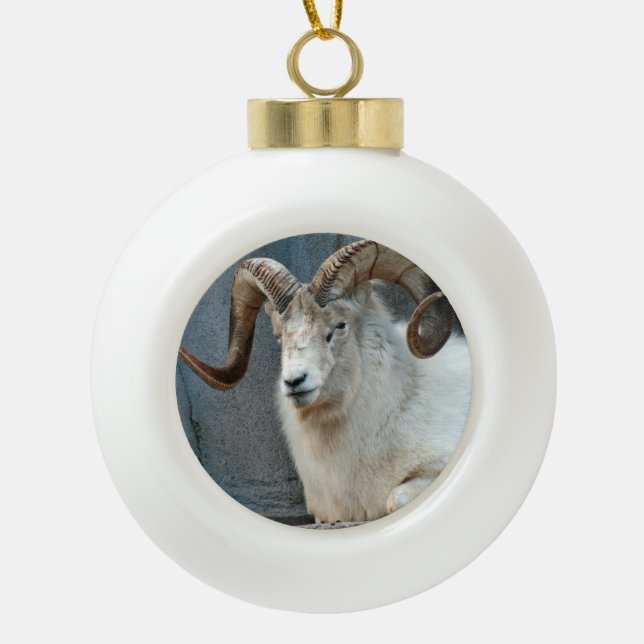 Ornement Dall Sheep (Devant)