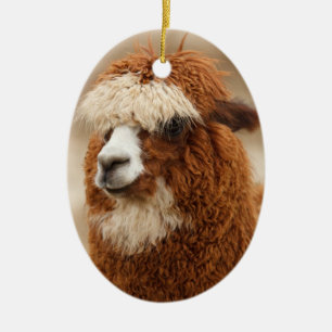 Ornement d'Alpaca