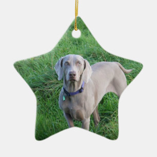 Ornement d'amants de Weimaraner