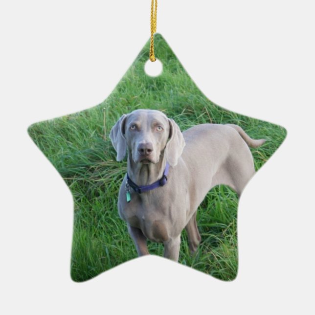 Ornement d'amants de Weimaraner (Devant)