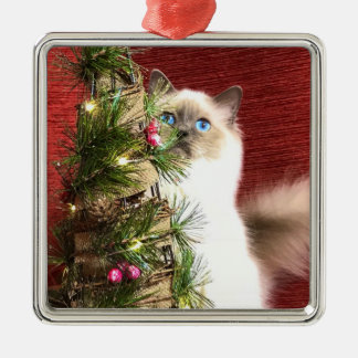 Ornement d'arbre de Noël de Birman