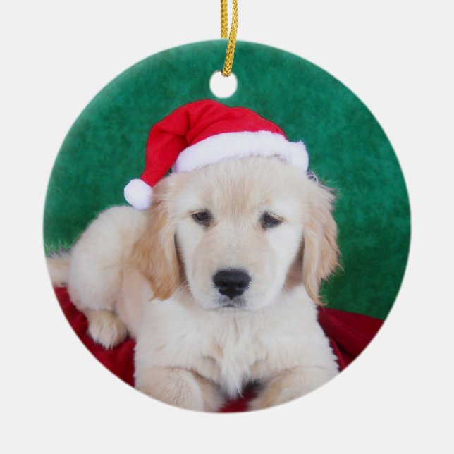 Ornement d'arbre de Noël de chiot de golden (Devant)