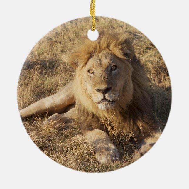 Ornement d'arbre de Noël de lion (Dos)