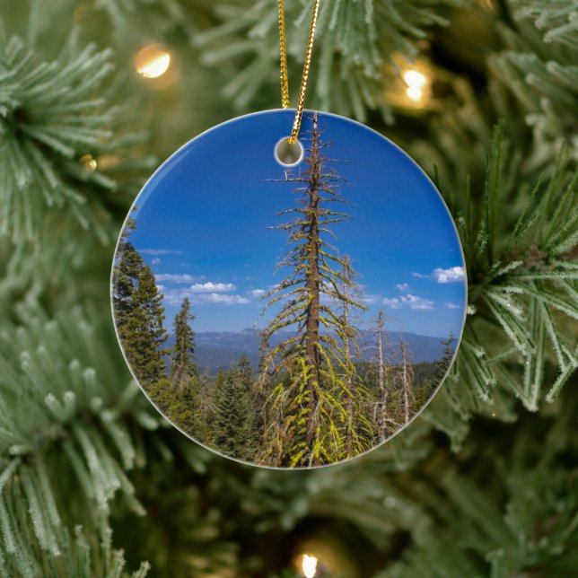 Ornement d'arbre de Noël du lac Tahoe (Arbre)