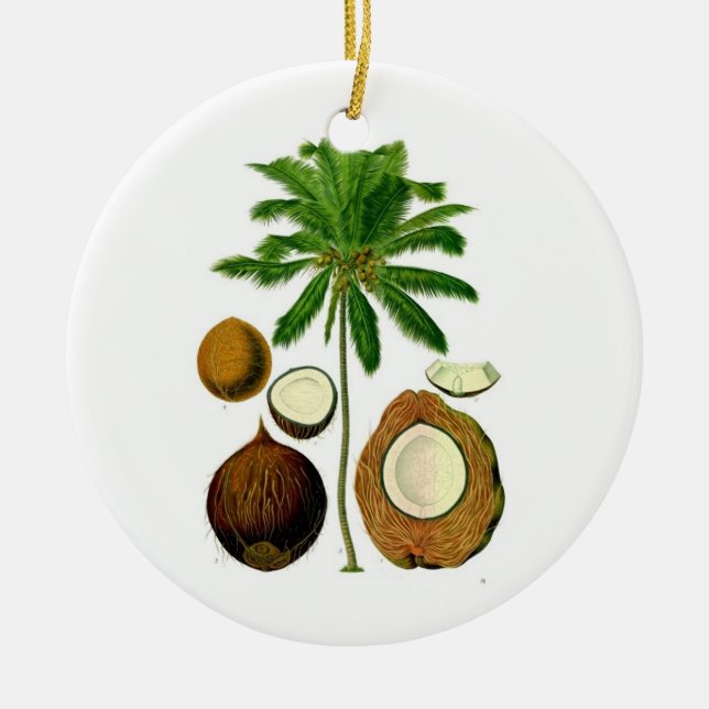 Ornement d'arbre de noix de coco (Devant)