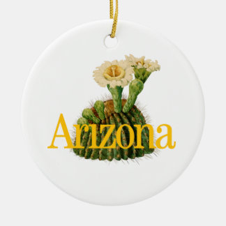 Ornement d'Arizona personnalisable avec Saguaro Ca