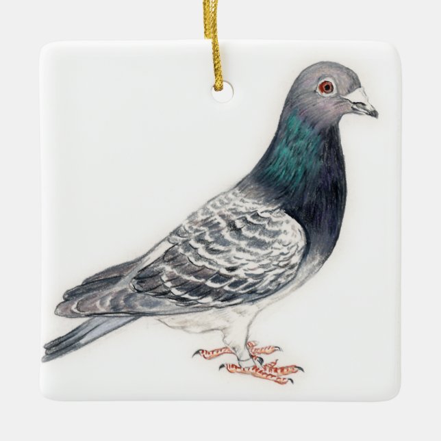 Ornement d'art ornithologique de Pigeon II (Devant)