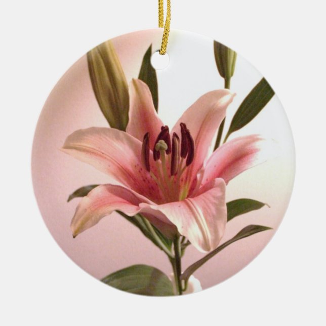 Ornement d'astronome (Devant)