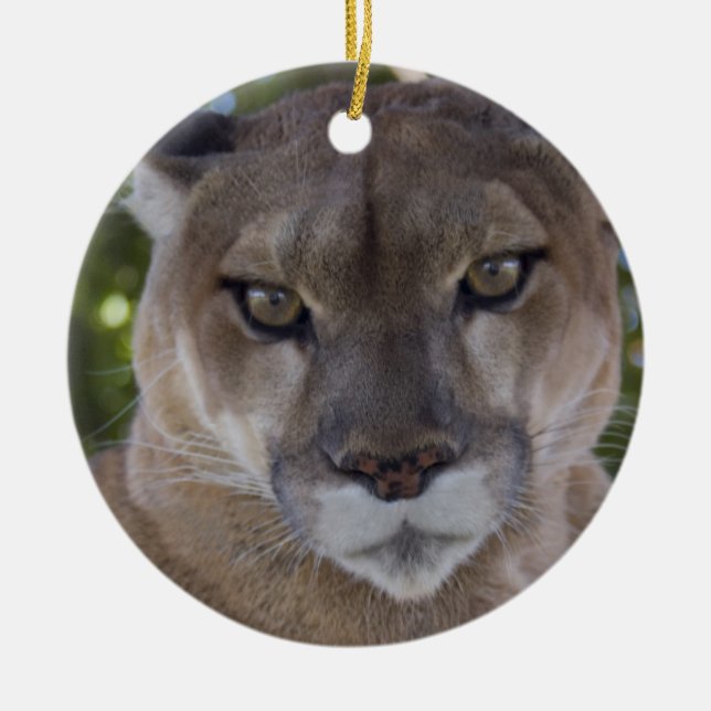 Ornement d'attaque de puma (Devant)