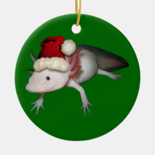Ornement d'Axolotl (Devant)