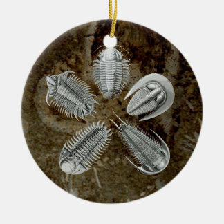 Ornement de 5 Trilobites