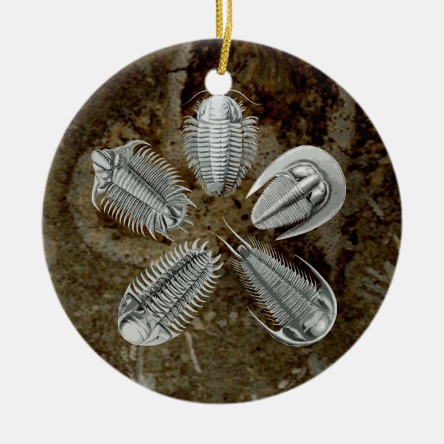 Ornement de 5 Trilobites (Devant)