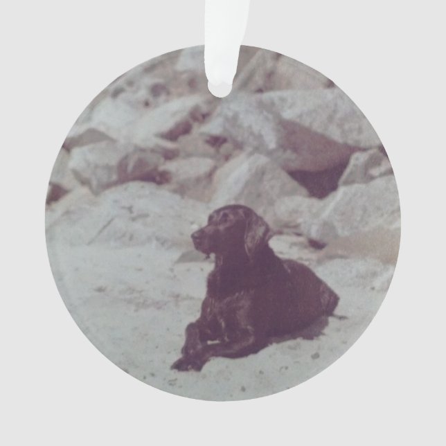 Ornement de Baker (devant)