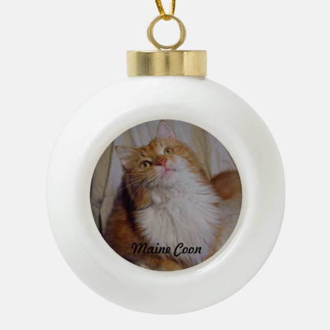 Ornement de balle de chat Maine Coon (Devant)