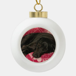 Ornement de balle de chien endormi