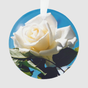 Ornement de beauté Rose blanche