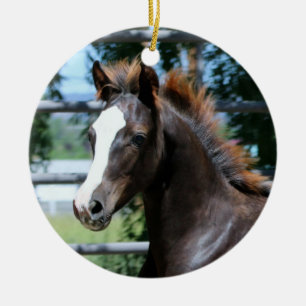 Ornement de bébé de cheval de Morgan