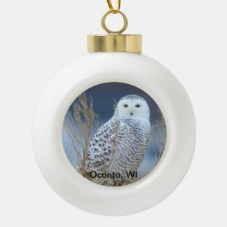 Ornement de boule des neiges