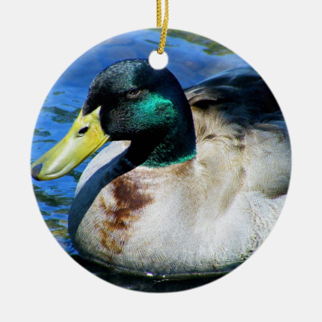 Ornement de canard (Devant)