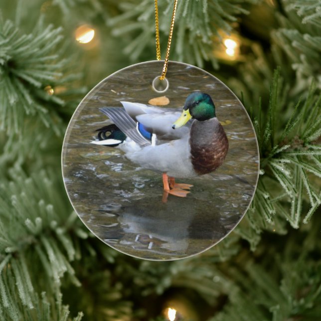 Ornement de canard à collier (ruisseau) (Arbre)