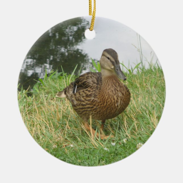 Ornement de canard à mâchoires féminin (Devant)
