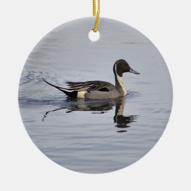 Ornement de canard à ongles (Devant)