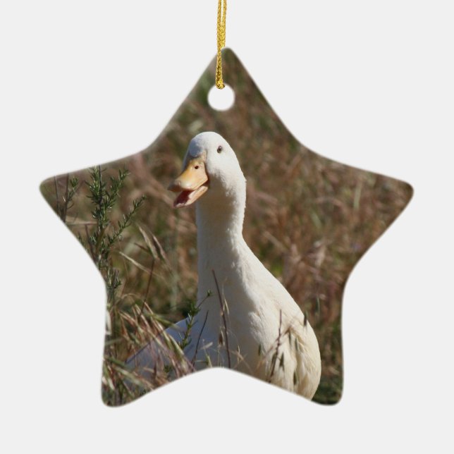 Ornement de canard d'animal familier (Devant)