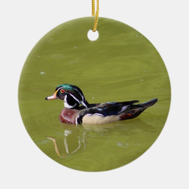 Ornement de canard de bois (Devant)