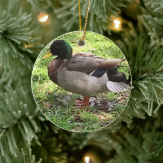 Ornement de canard de Mallard