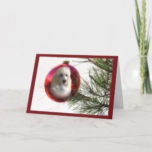 Ornement de carte de Noël de caniche