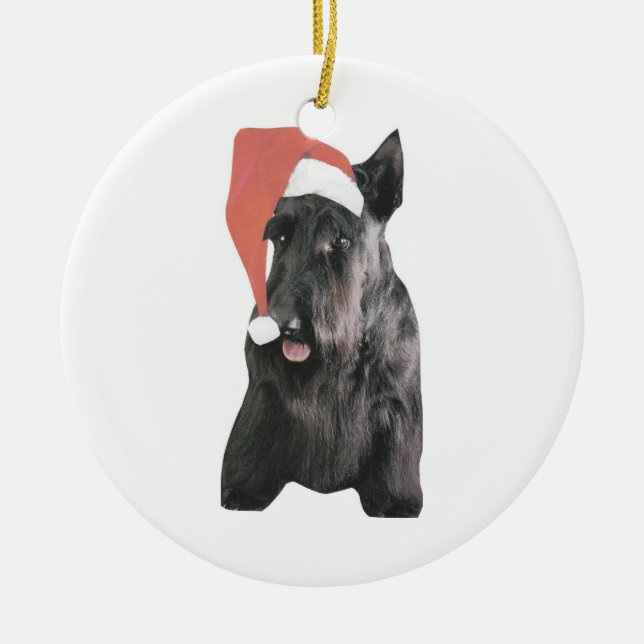 Ornement de casquette de Terrier Père Noël (Devant)