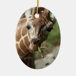 Ornement de casse-croûte de girafe